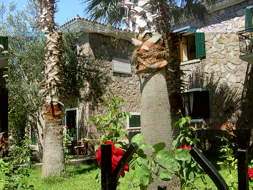 AMFITRITI Hotel amongst native trees & flowers and only 50 meters from the beach.